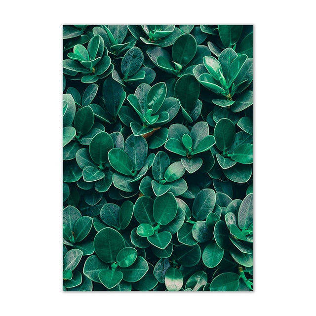 Green Plant Leaf Wall Art Canvas Print